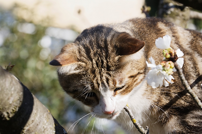 Famille et amis-MAR16-073